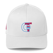 Load image into Gallery viewer, DREW TITAN: DT FITNESS WOMENS FLEXFIT CAP (WHITE/PINK)